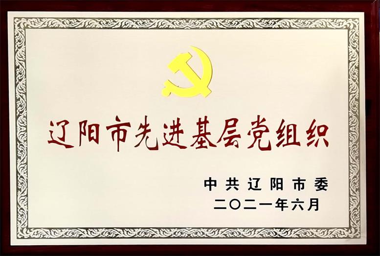 pp电子集团荣获“辽阳市先进基层党组织”称号.jpg pp电子集团荣获“辽阳市先进基层党组织”称号.jpg